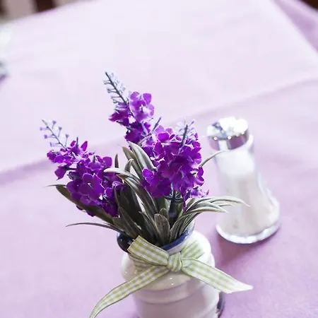 ホテル デ トルラ